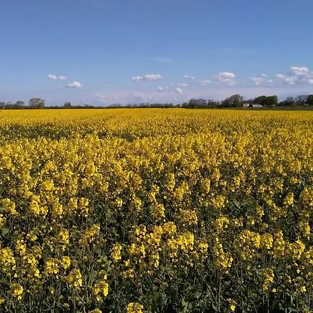 Feriehus Neeb Comfortable Gammendorf